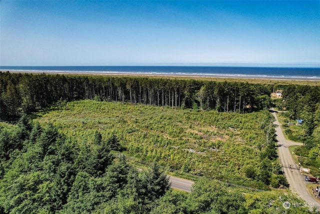 2 Dolphin Ln, Copalis Beach, WA 98535 - photo 9