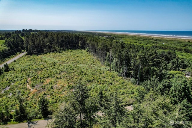 2 Dolphin Ln, Copalis Beach, WA 98535 - photo 10
