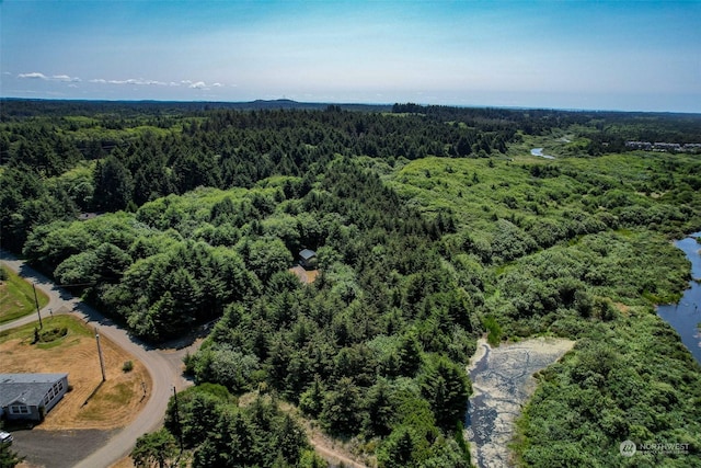 2 Dolphin Ln, Copalis Beach, WA 98535 - photo 18