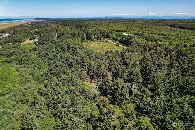 2 Dolphin Ln, Copalis Beach, WA 98535 - photo 19