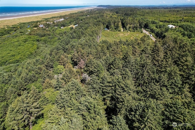 2 Dolphin Ln, Copalis Beach, WA 98535 - photo 20