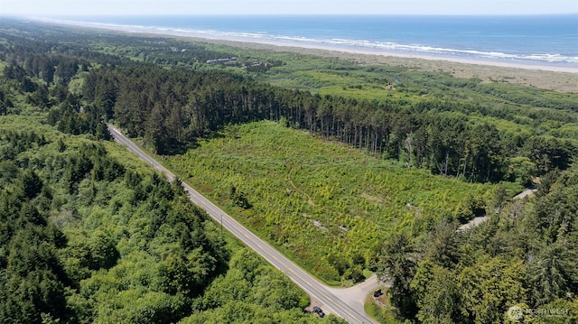 2 Dolphin Ln, Copalis Beach, WA 98535 - photo 1