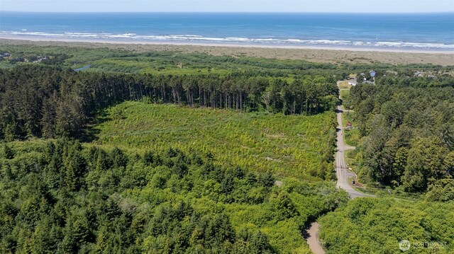 2 Dolphin Ln, Copalis Beach, WA 98535 - photo 3