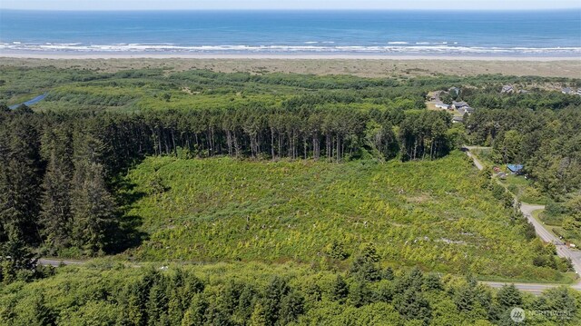 2 Dolphin Ln, Copalis Beach, WA 98535 - photo 4