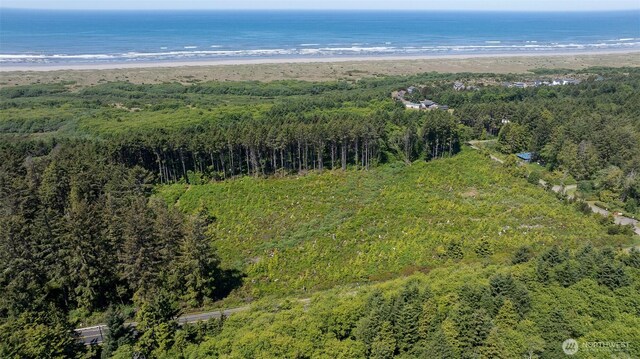 2 Dolphin Ln, Copalis Beach, WA 98535 - photo 5