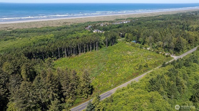 2 Dolphin Ln, Copalis Beach, WA 98535 - photo 6