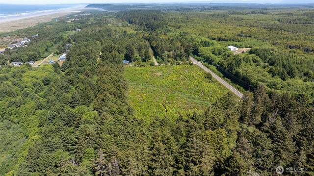 2 Dolphin Ln, Copalis Beach, WA 98535 - photo 8