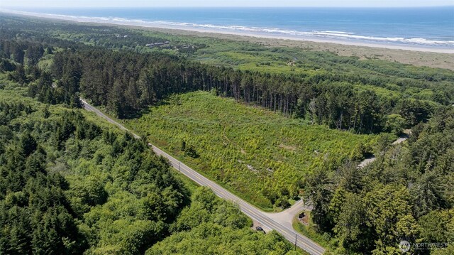 2 Dolphin Ln, Copalis Beach, WA 98535 - photo 11