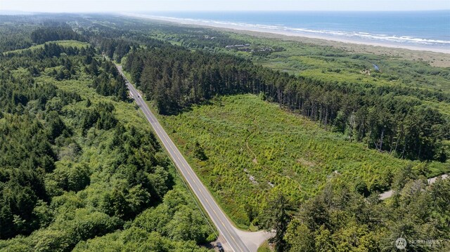 2 Dolphin Ln, Copalis Beach, WA 98535 - photo 12
