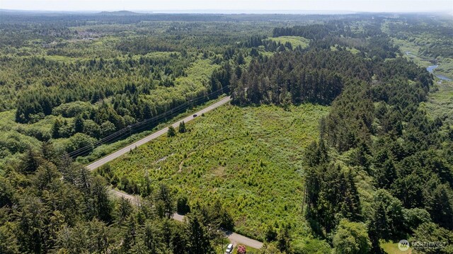 2 Dolphin Ln, Copalis Beach, WA 98535 - photo 13