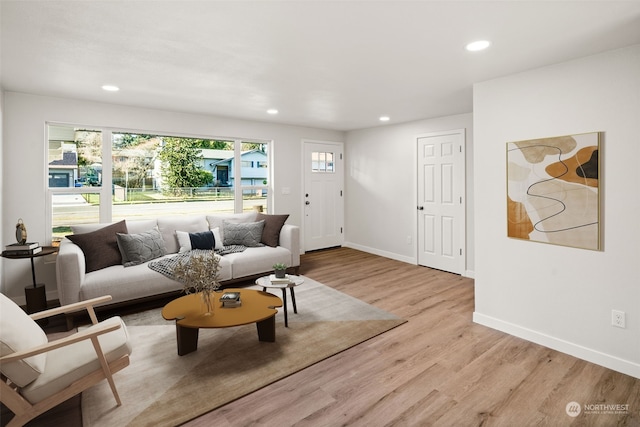 living room featuring light wood-type flooring