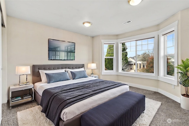 bedroom with carpet flooring and multiple windows