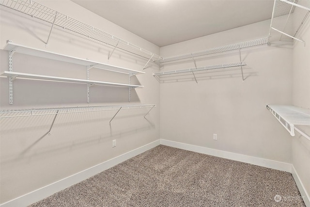 walk in closet with carpet flooring