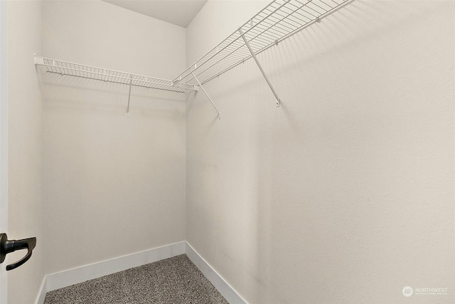 walk in closet with carpet flooring