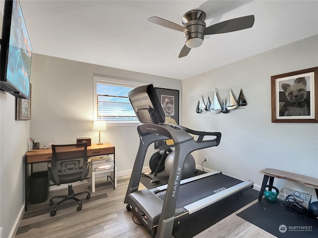 exercise area featuring hardwood / wood-style floors and ceiling fan