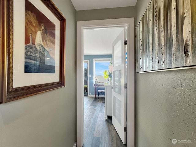 hallway featuring wood-type flooring