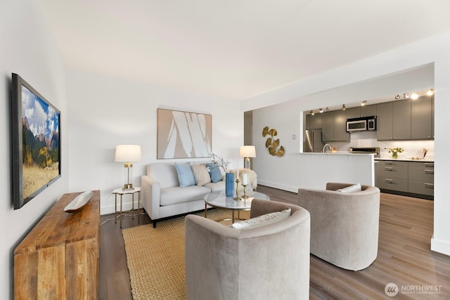 living room with wood-type flooring