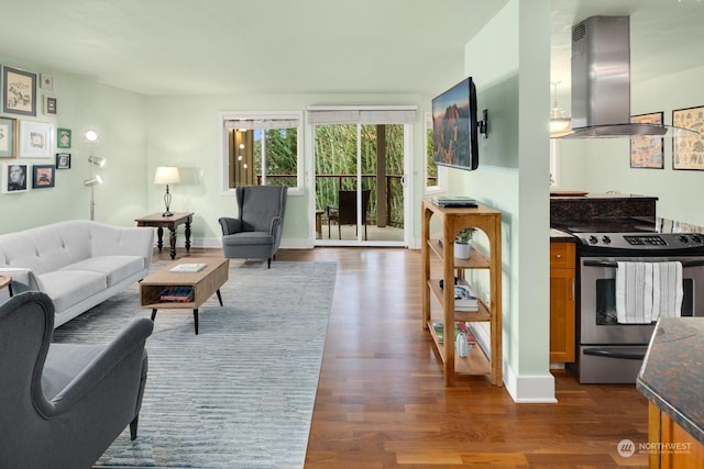 living room featuring dark wood-type flooring