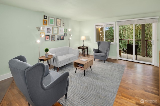 living room with hardwood / wood-style flooring