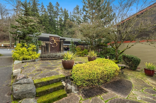 view of yard featuring a patio area