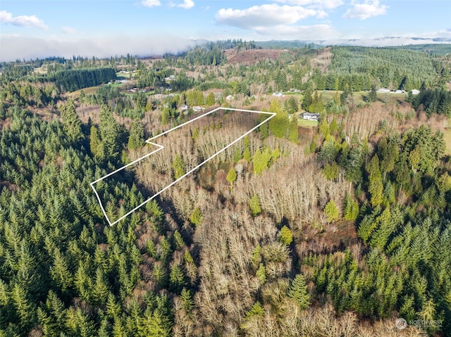 0 Stella Rd, Longview WA, 98632 land for sale