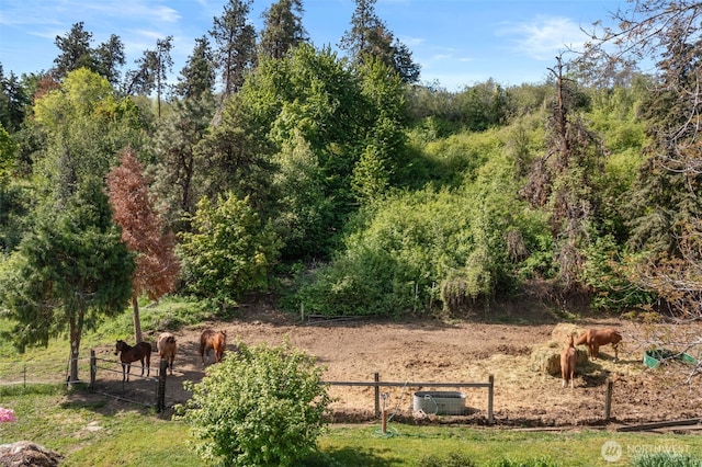 4693 Valley St, Cashmere, WA 98815 - photo 33