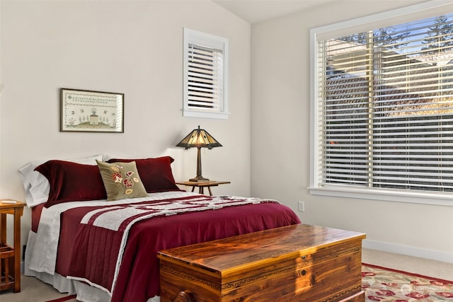 bedroom featuring multiple windows and carpet flooring