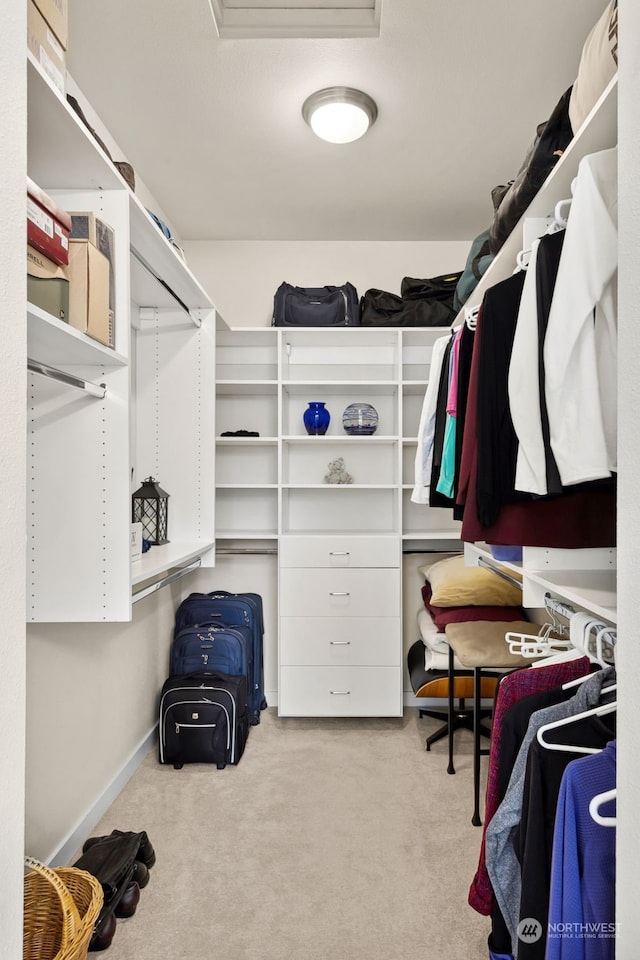 spacious closet featuring light colored carpet