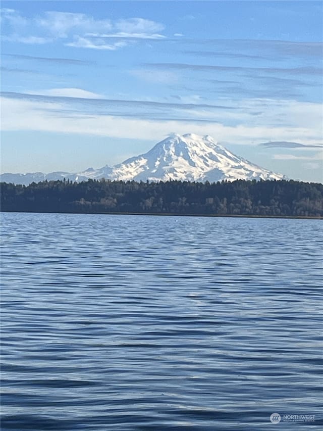 water view featuring a mountain view