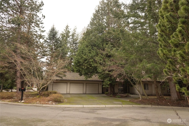8874 Bald Eagle Dr, Blaine, WA 98230 - photo 1