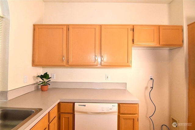 kitchen featuring dishwasher