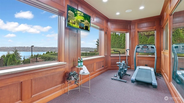 exercise area featuring carpet flooring and a water view