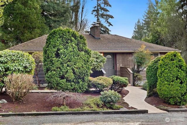 view of property hidden behind natural elements