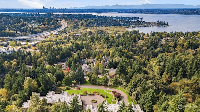 aerial view featuring a water and mountain view