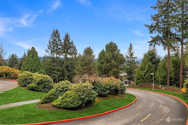 view of property's community with a yard