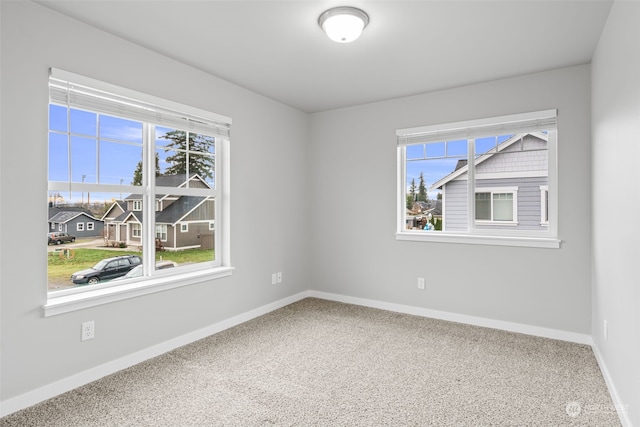 unfurnished room with carpet flooring and a wealth of natural light