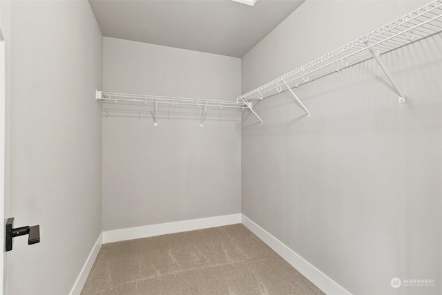 walk in closet featuring carpet flooring