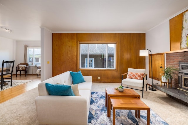 living room with wood walls, ornamental molding, and track lighting