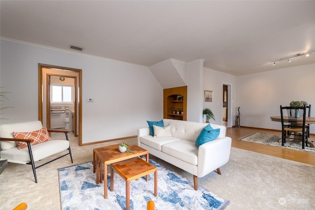 living room featuring crown molding and track lighting