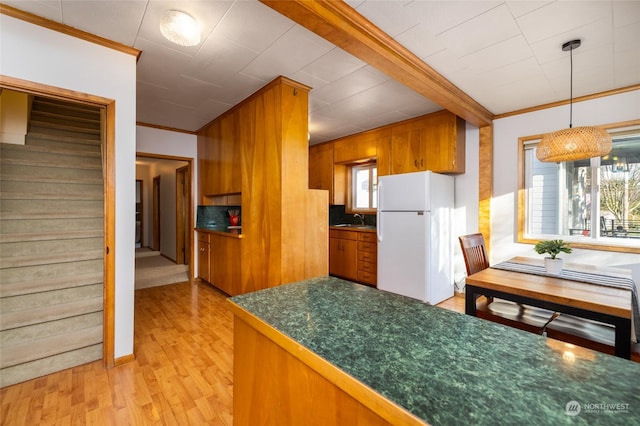 kitchen with light wood-type flooring, white fridge, crown molding, and sink