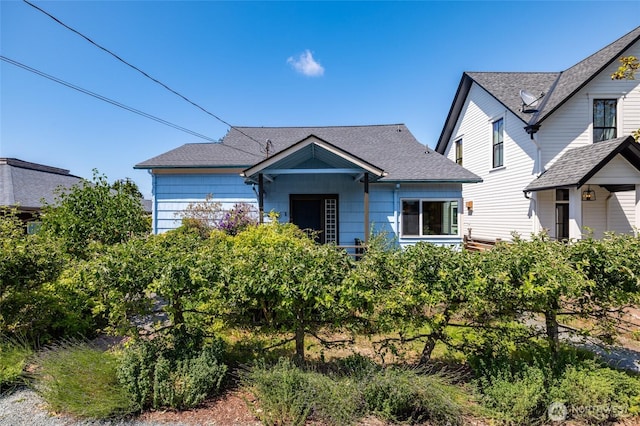 307 Center St, La Conner, WA 98257 - view of front of house featuring a shingled roof