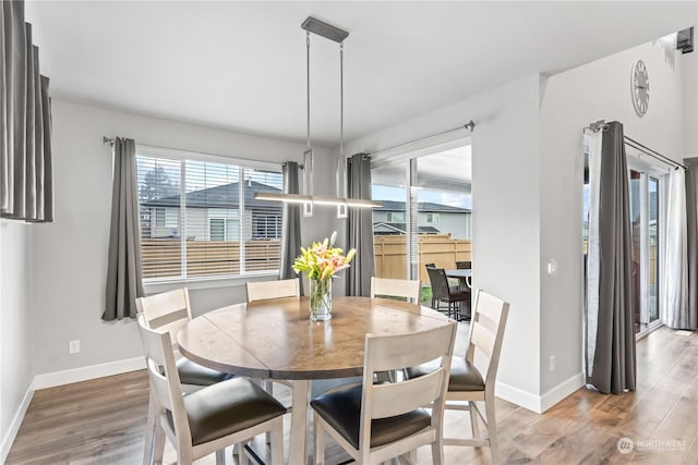 dining room with wood-type flooring