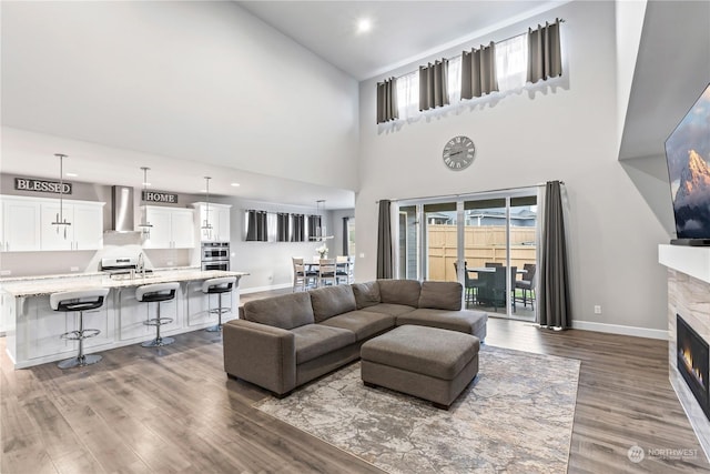 living room with sink and wood-type flooring