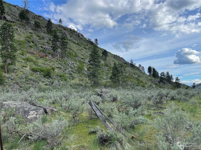 Listing photo 2 for 0 Dry Coulee Rd, Okanogan WA 98840