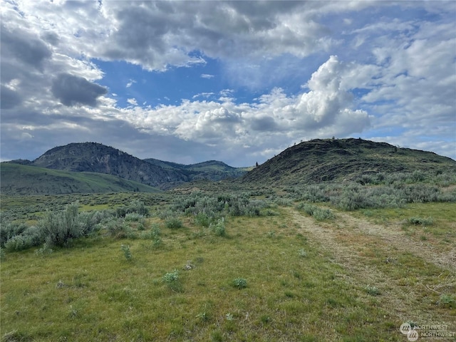 3 Hope Springs Trl, Okanogan WA, 98840 land for sale