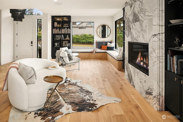 living room featuring a fireplace and hardwood / wood-style flooring