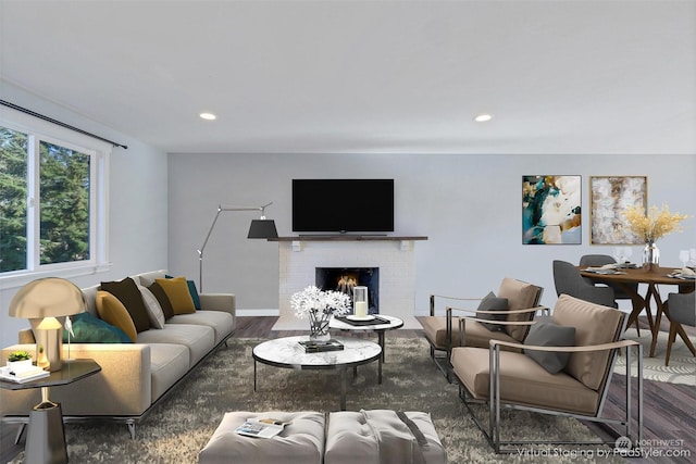 living room featuring dark hardwood / wood-style flooring and a fireplace