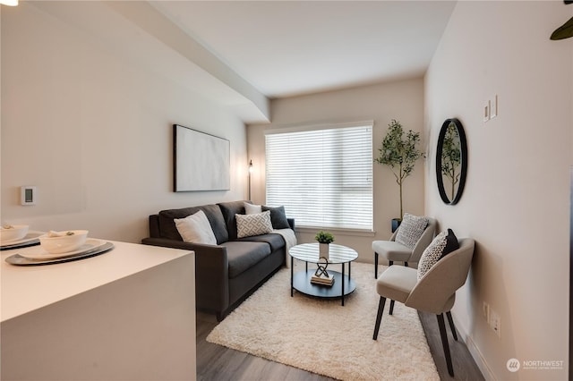 living room featuring hardwood / wood-style floors