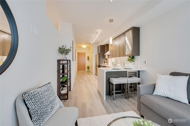 living room featuring sink, light wood-type flooring, and rail lighting