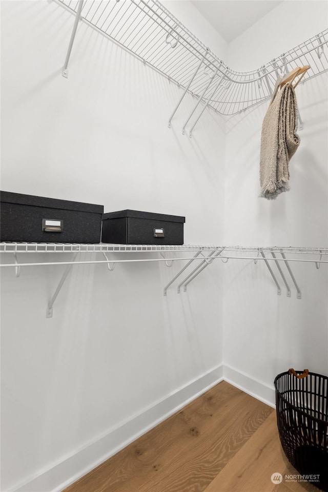 walk in closet featuring hardwood / wood-style flooring